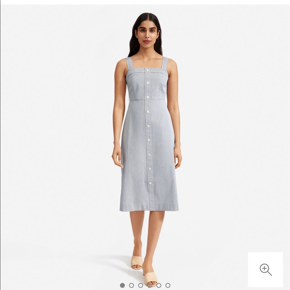 Everlane cotton weave picnic dress